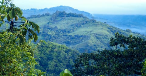 Natural landscape, Hiking, Mountain view