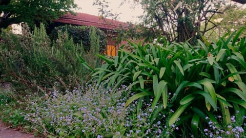 Garden, Floor plan