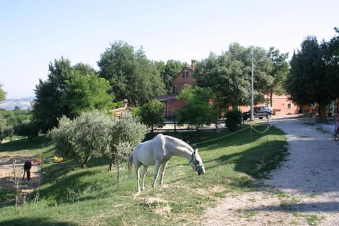 Casa Vacanze La Meridiana House in Marche