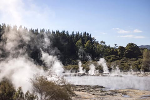 Tasman Holiday Parks - Rotorua Campground/ 
RV Resort in Rotorua