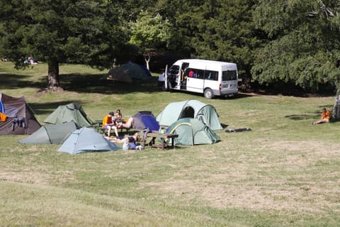 Rotorua Thermal Holiday Park Campground/ 
RV Resort in Rotorua
