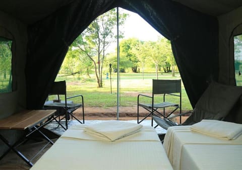 Big Game - Wilpattu by Eco Team Luxury tent in Sri Lanka