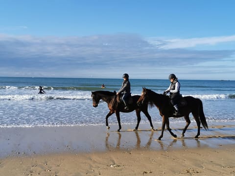 Horse-riding