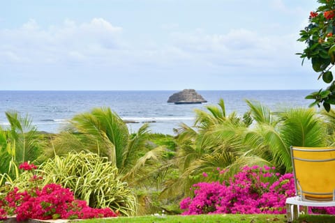 Villa Guadeloupe Saint François Accès Mer Piscine IGUANA BAY - Villa Zagadi Villa in Guadeloupe