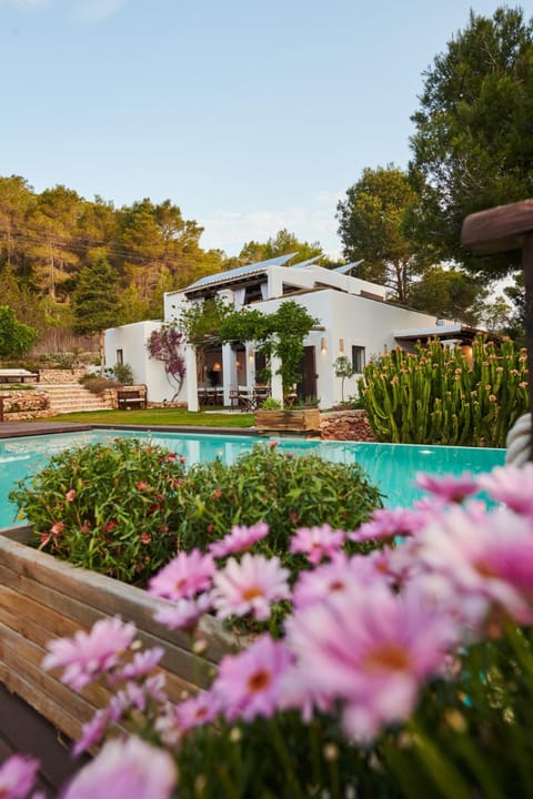 Garden, Garden view, Swimming pool