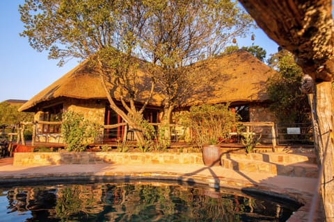 Lalibela Game Reserve Mark's Camp Lodge nature in Eastern Cape