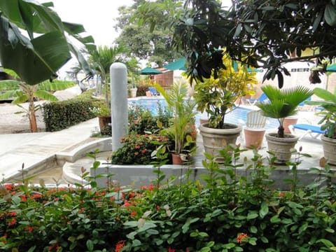 Paraiso del Pescador Hotel in Rincon de Guayabitos