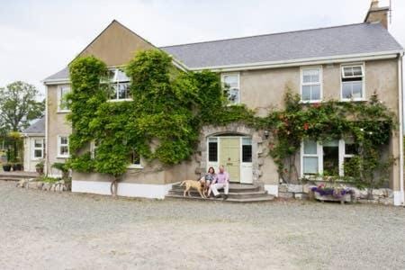 Property building, Garden view