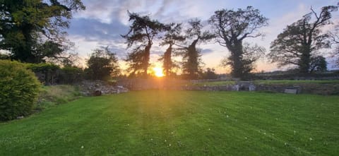 Natural landscape, Garden view, Sunset