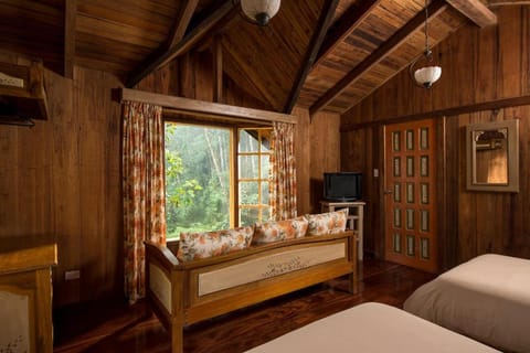 Sachatamia Lodge Nature lodge in Pichincha