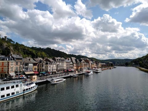 Le Cerf Vert Bed and Breakfast in Dinant