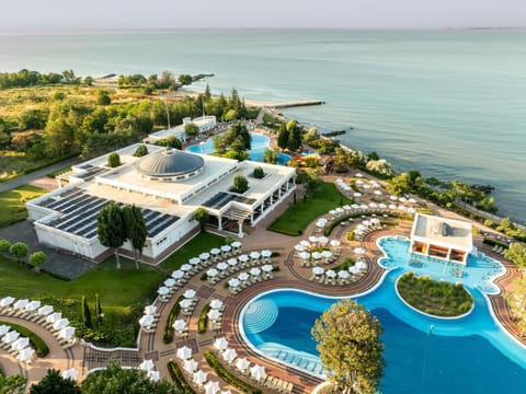 Bird's eye view, Swimming pool, sunbed