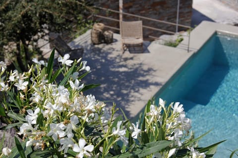 Pool view, Swimming pool, Swimming pool