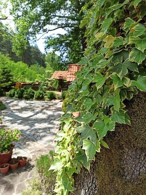 Семеен Хотел Хайдутите Hotel in Blagoevgrad Province