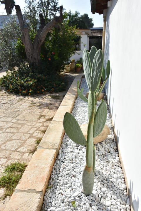 Masseria Tenuta Flora Maria Farm Stay in Apulia