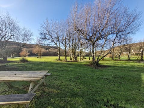 Patio, Garden, Garden view