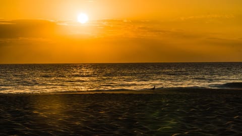 Natural landscape, Beach, Hiking, Sunrise