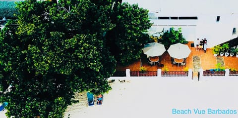 Beach Vue Barbados Appartement-Hotel in Bridgetown