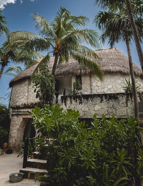 NEST Tulum Hotel in State of Quintana Roo