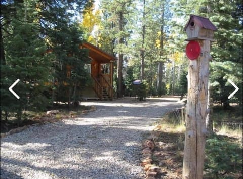 Adventure Awaits 3King Bed,2Bath Log Cabin in heart of Duck Creek Village! House in Utah