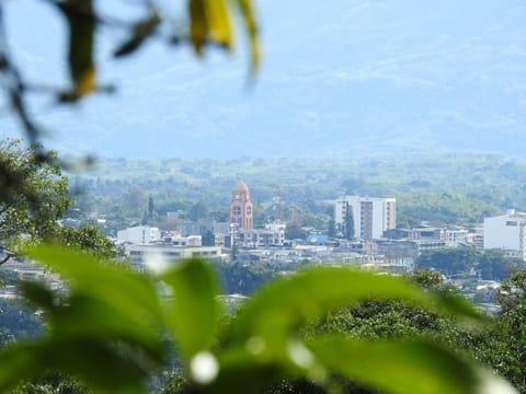 Natural landscape, City view