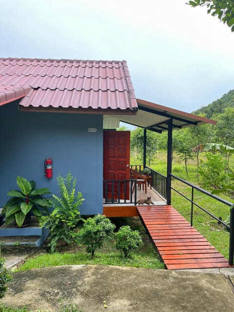 Property building, Garden view