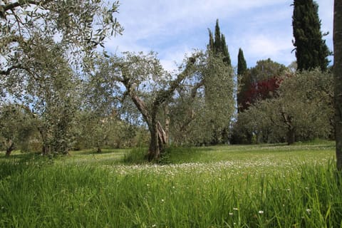 Romitorio di Castiglione del Lago Country House in Umbria