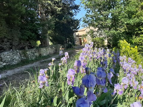 Mas de "La Garcine" House in Mazan