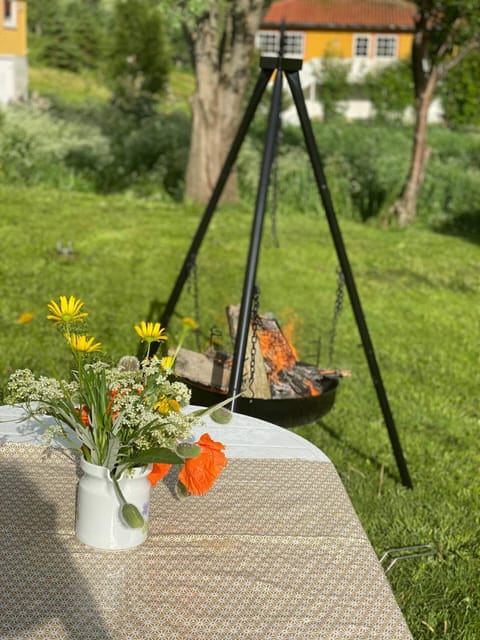 Patio, Garden, Garden view