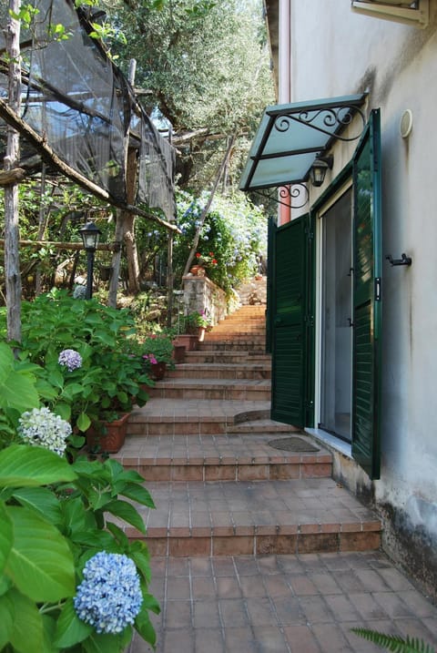 Facade/entrance, Garden