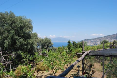 Sorrento Studios Lemons Hill Bed and breakfast in Sant Agnello