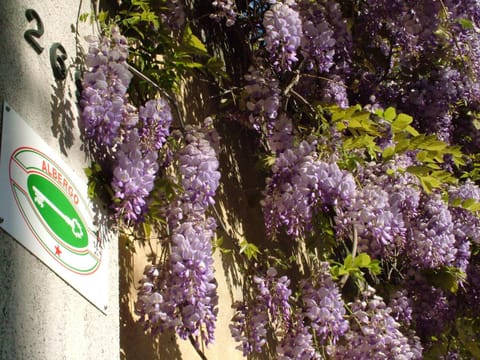 Facade/entrance, Spring, Garden