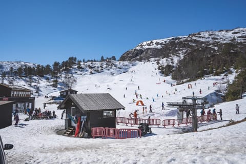 Property building, Winter