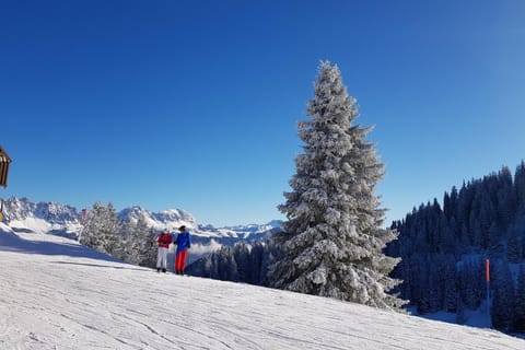 Natural landscape, Winter, Ski School, Skiing