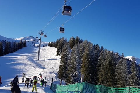 Natural landscape, Winter, Ski School, Skiing