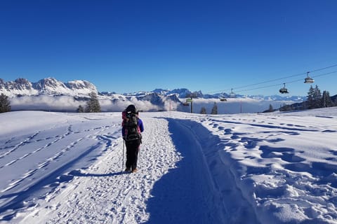 Winter, Ski School, Skiing, Hiking