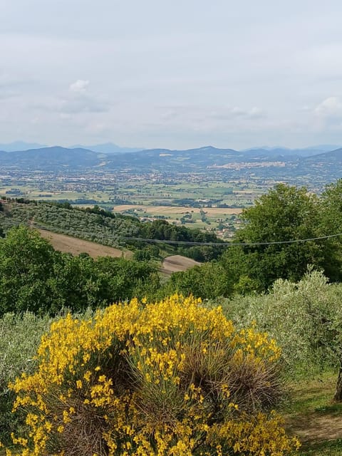 Poggio La Grognola Bed and Breakfast in Umbria
