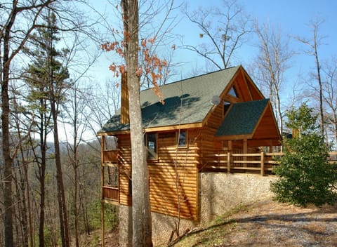 Wild Willow House in Pigeon Forge