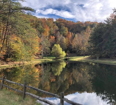 Cabin Fever House in Sevier County