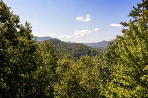 Snowshoe Lodge Casa in Pigeon Forge