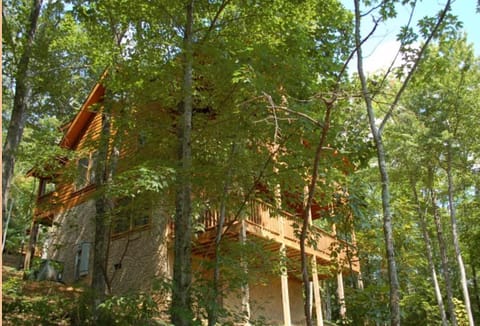 Treetops Casa in Pigeon Forge