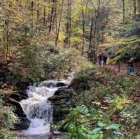 Misty Moonlight House in Sevier County