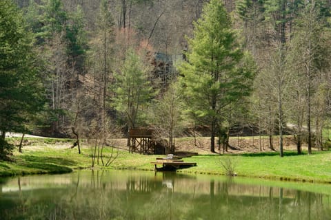 On Golden Pond House in Sevier County