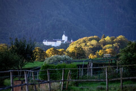 Ferienwohnungen Erlebnisnaturhof Condo in Aschau im Chiemgau