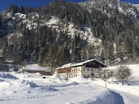 Property building, Winter