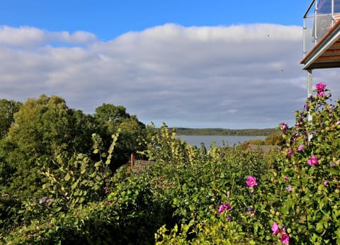 Natural landscape, Lake view