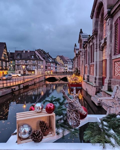 The Family industry Apartment in Colmar