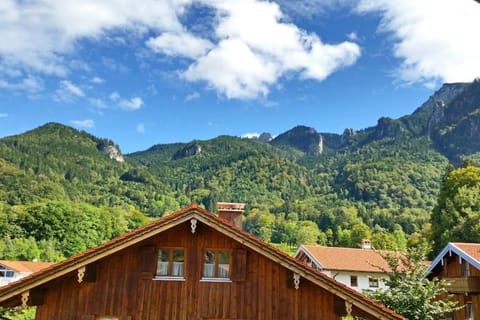 Ferienwohnung Steger Apartment in Aschau im Chiemgau