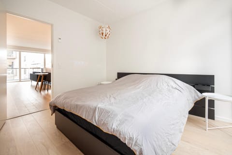 3 Bedroom Apartment on the new Nordhavn canals neighborhood Condo in Copenhagen