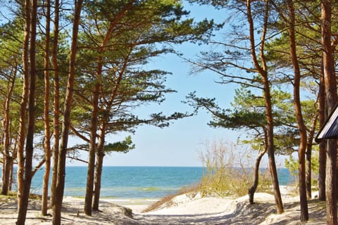 Natural landscape, Beach